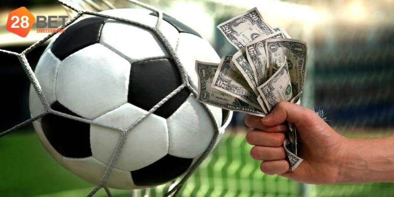 Lý do chuyên mục thể thao tại nhà cái thu hút hội viên